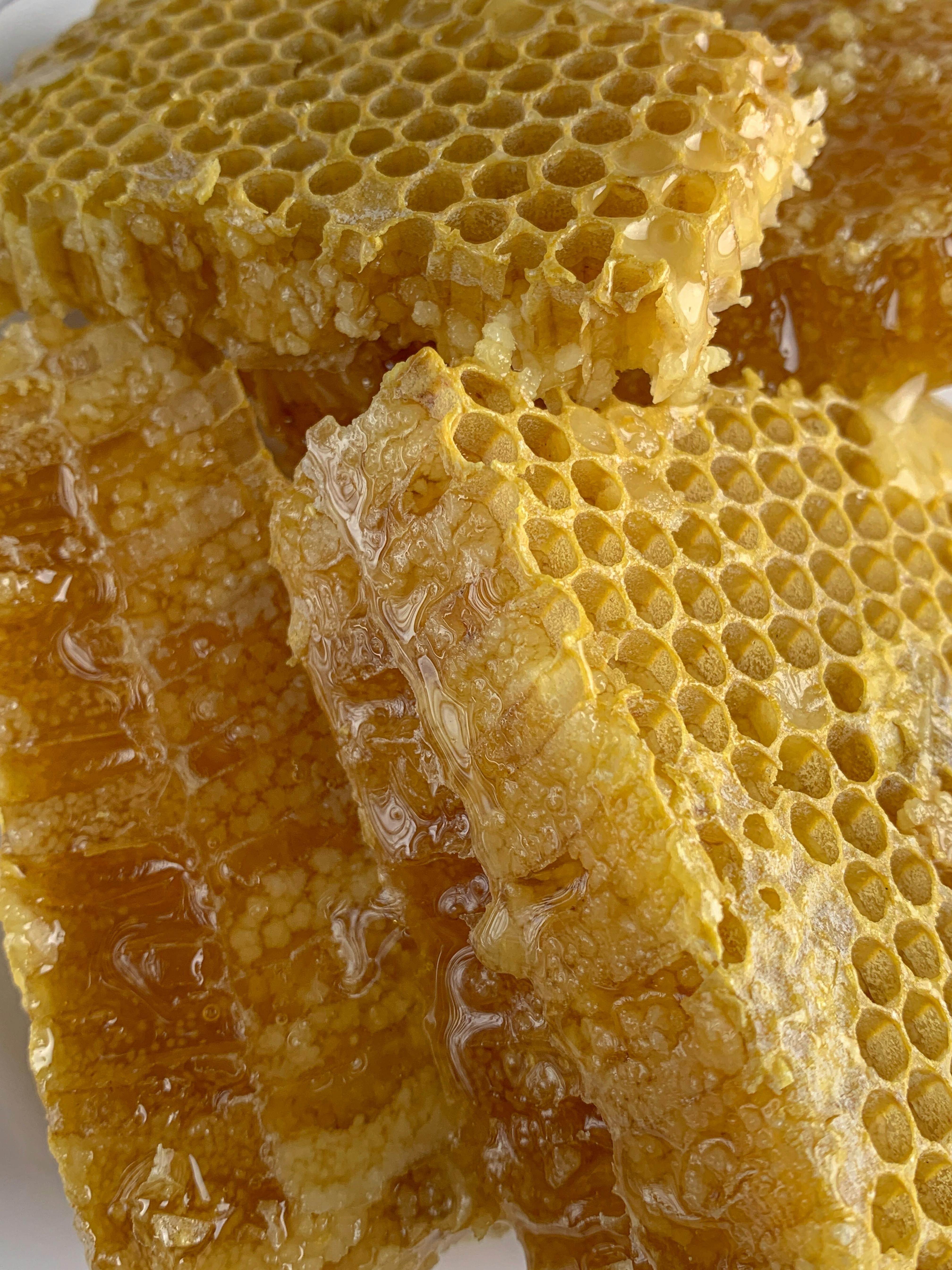 Beekeeper working